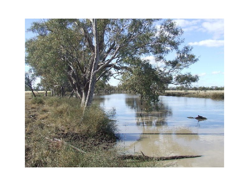 Goondiwindi QLD 4390