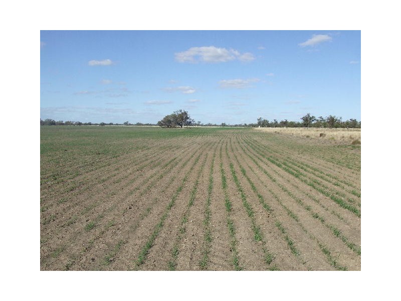 Goondiwindi QLD 4390