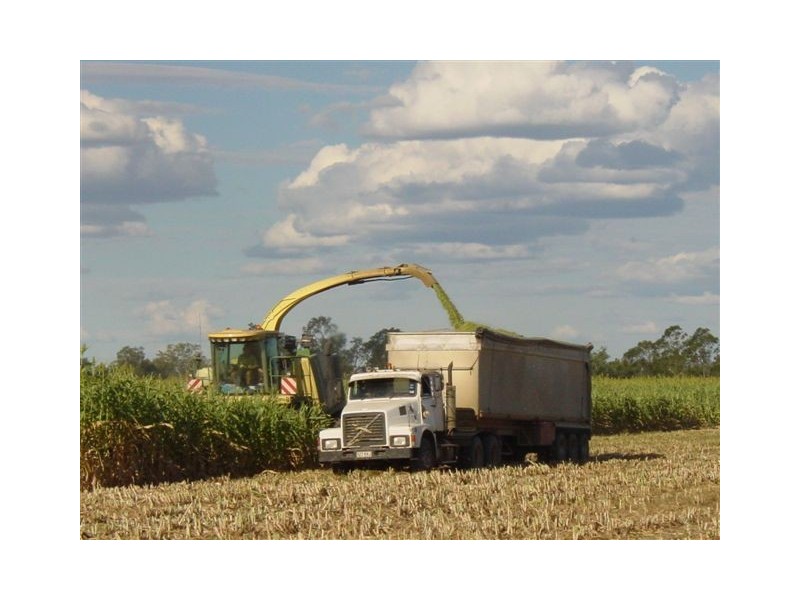 Goondiwindi QLD 4390