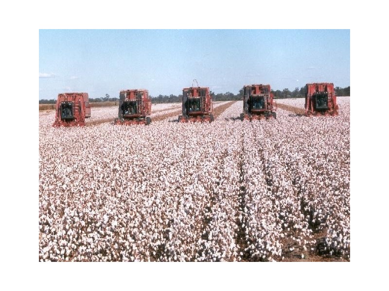 Goondiwindi QLD 4390