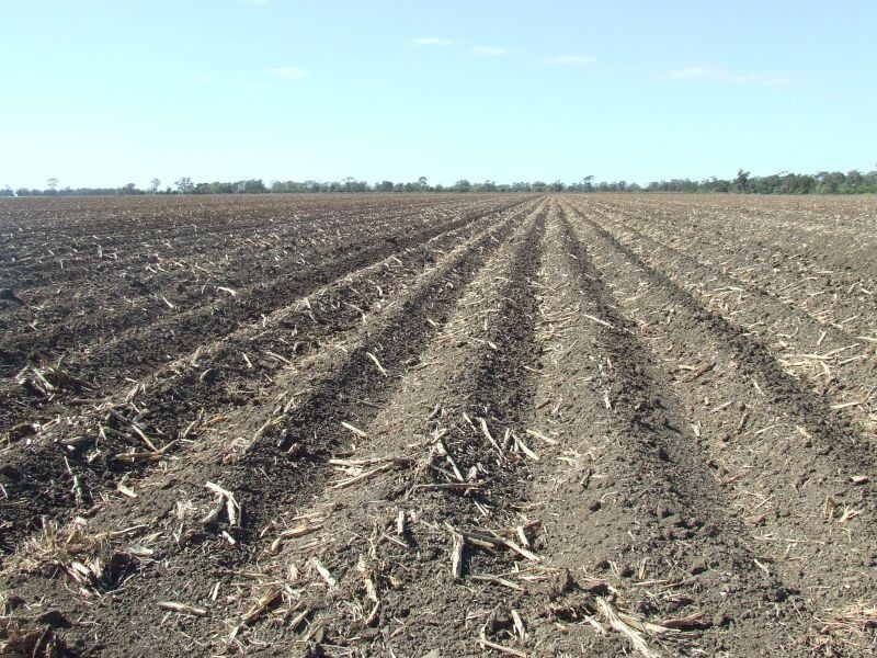 Goondiwindi QLD 4390