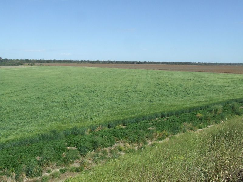 Goondiwindi QLD 4390