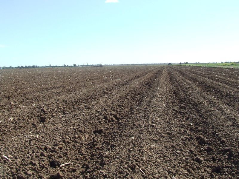 Goondiwindi QLD 4390