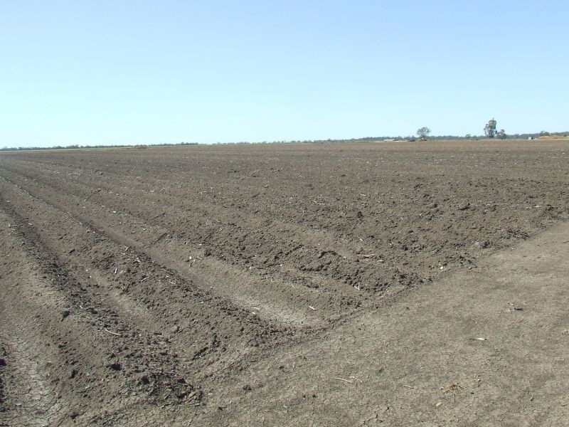 Goondiwindi QLD 4390