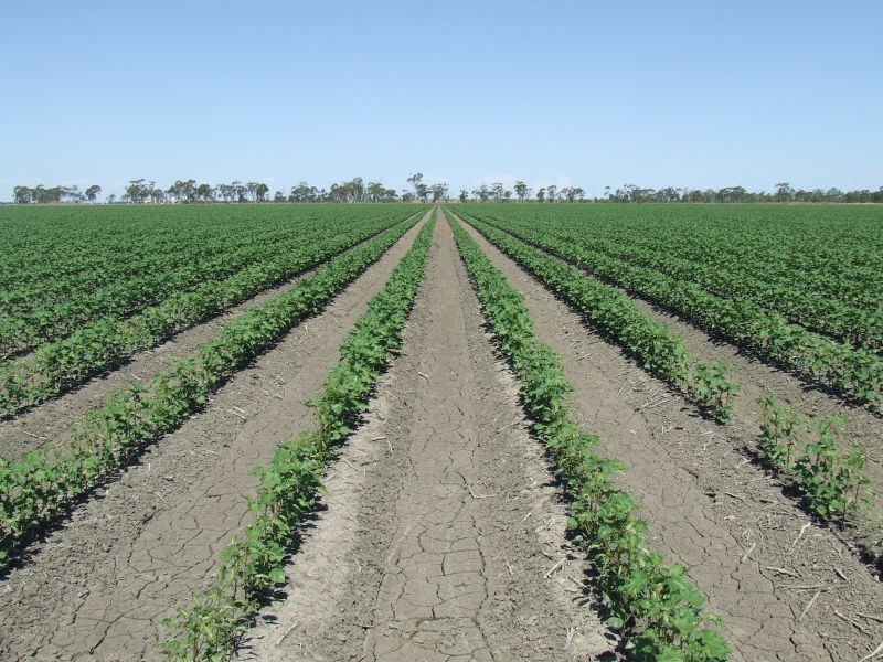 Goondiwindi QLD 4390