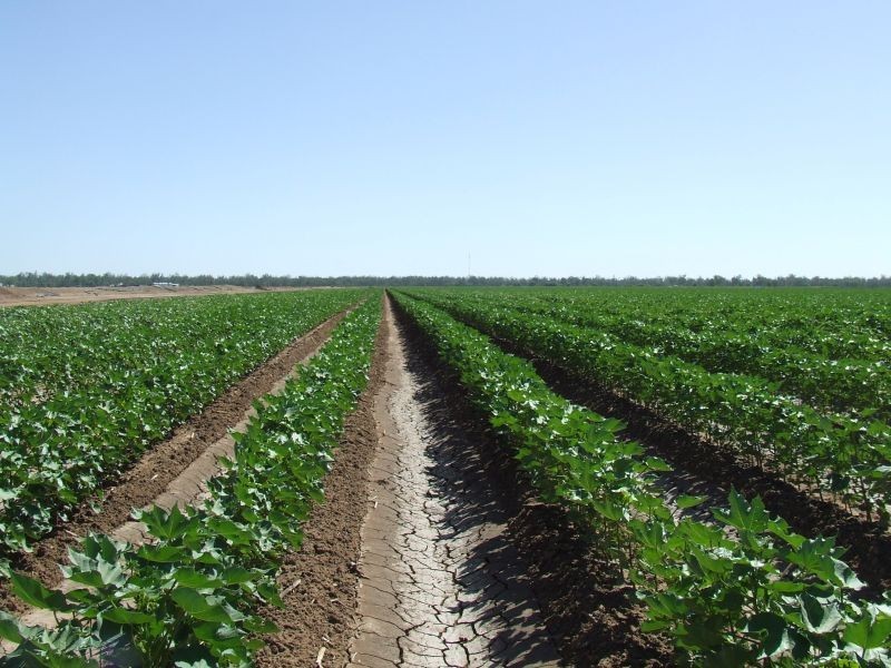 Goondiwindi QLD 4390