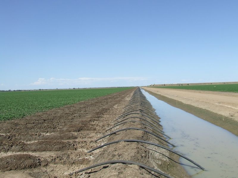 Goondiwindi QLD 4390