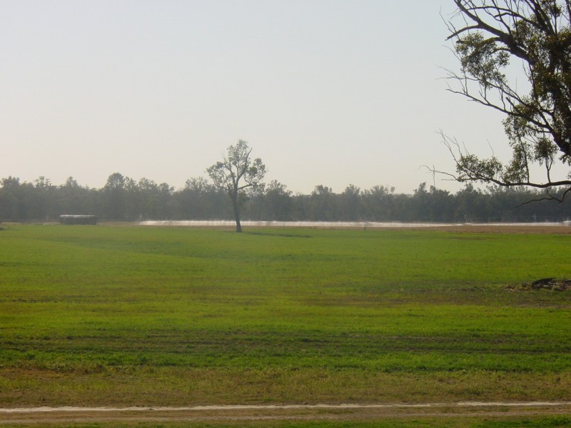 Texas NSW 4385
