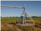 Texas NSW 4385