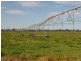 Texas NSW 4385