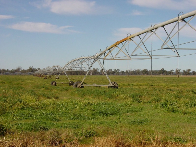 Texas NSW 4385