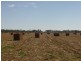 Texas NSW 4385