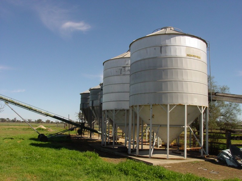 Texas NSW 4385
