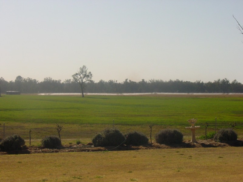 Texas NSW 4385