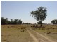 Texas QLD 4385
