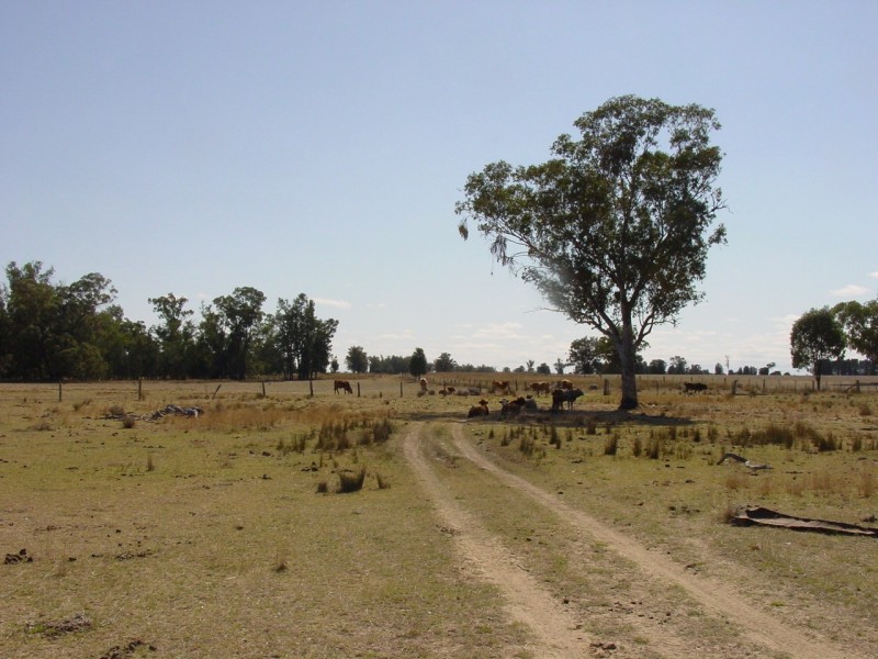 Texas QLD 4385