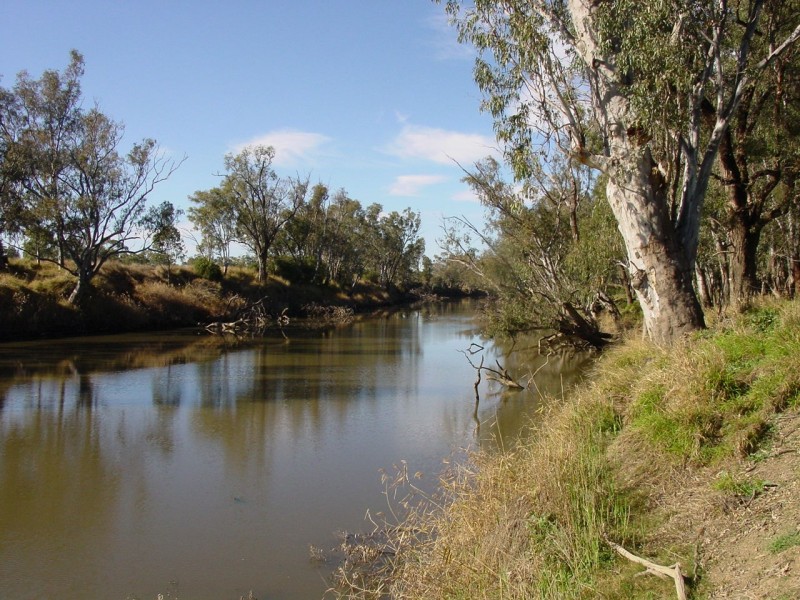 Texas QLD 4385