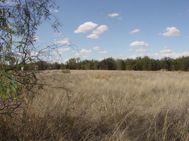 2 VIRGINIA ROAD, Goondiwindi QLD 4390