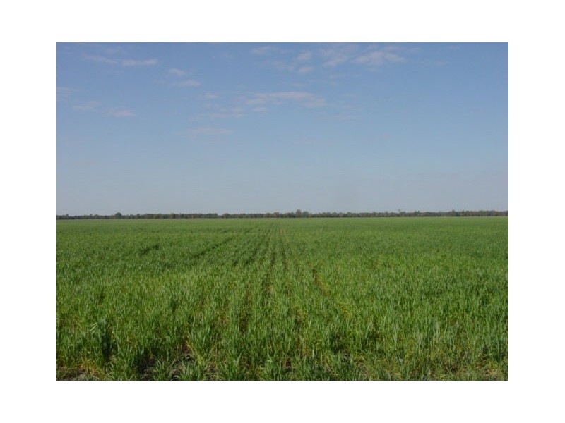 Goondiwindi QLD 4390