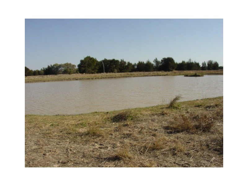 Goondiwindi QLD 4390