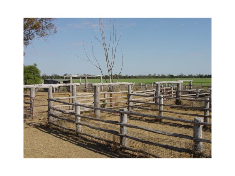 Goondiwindi QLD 4390