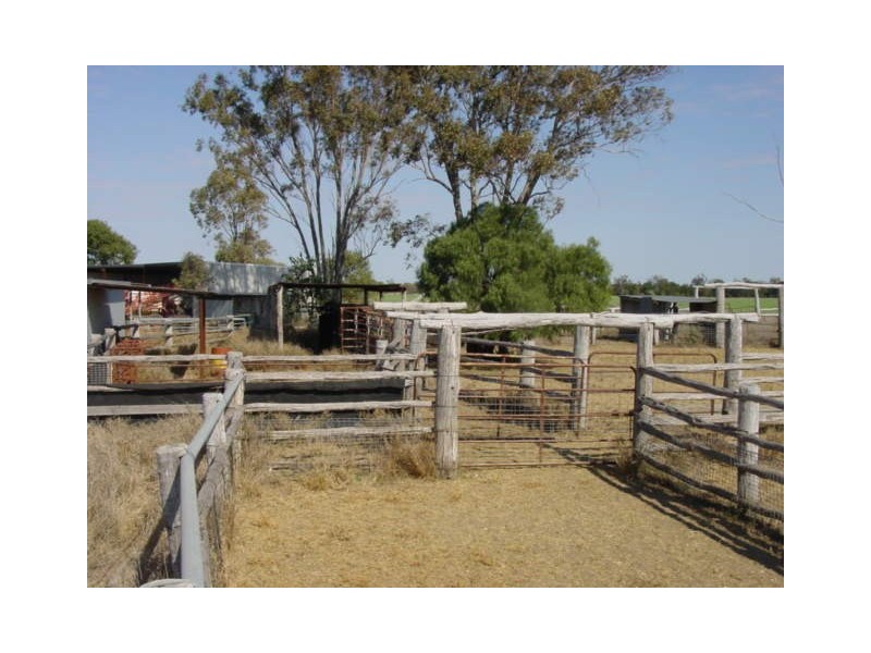 Goondiwindi QLD 4390