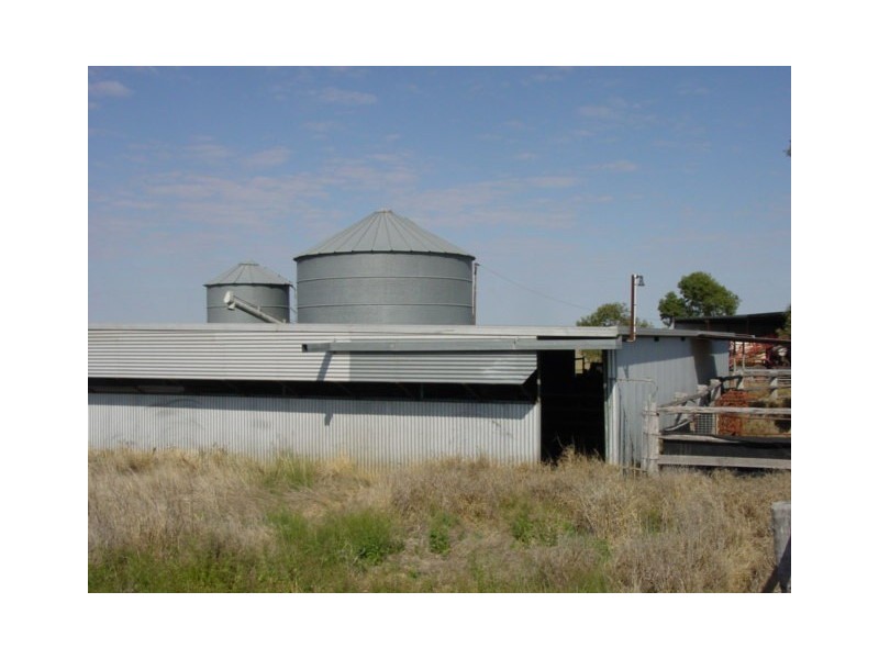 Goondiwindi QLD 4390