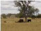 L20 Hollybrook road, Warroo QLD 4387