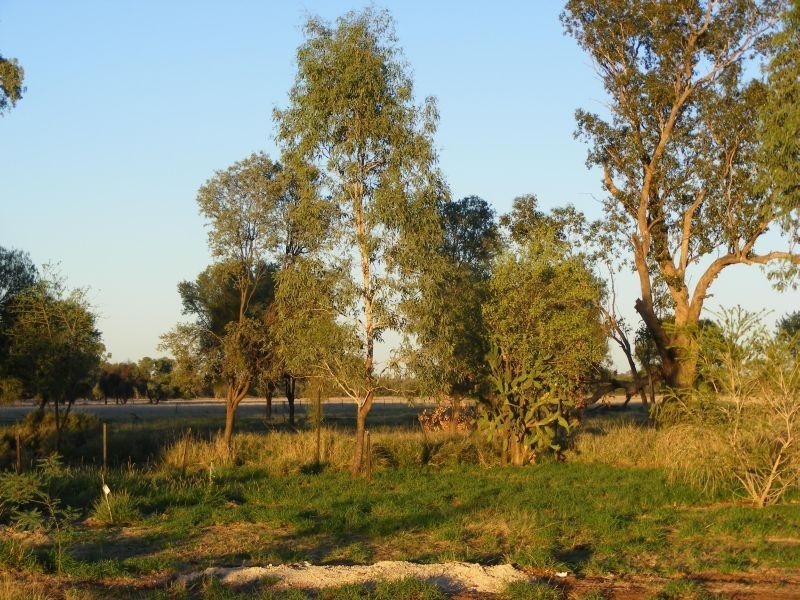 4530 Balonne Highway, St George QLD 4487