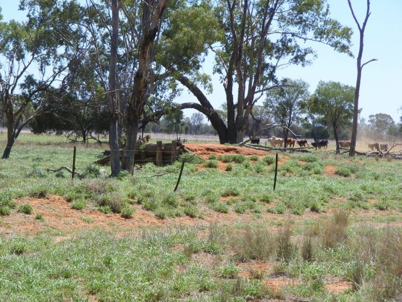 4530 Balonne Highway, St George QLD 4487