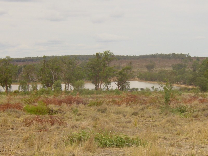 4085 Tarwoona Road Texas, Goondiwindi QLD 4390