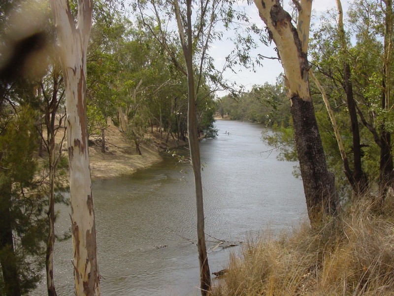 3620 Tarwoona Road Texas, Goondiwindi QLD 4390