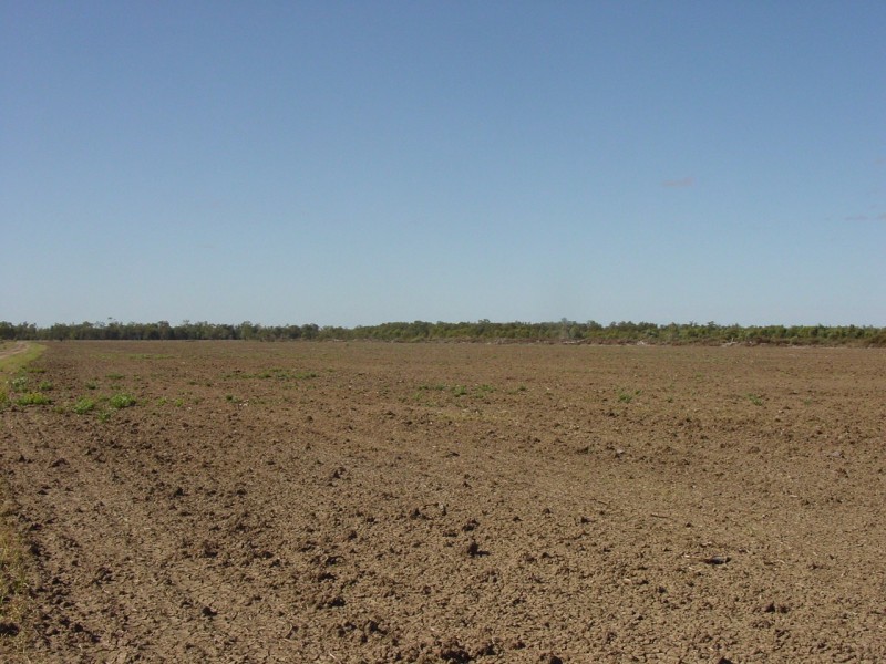 Goondiwindi QLD 4390