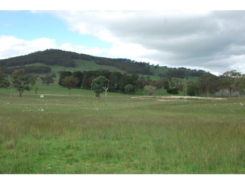536 Blue Mountain Road, Walcha NSW 2354