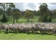 536 Blue Mountain Road, Walcha NSW 2354