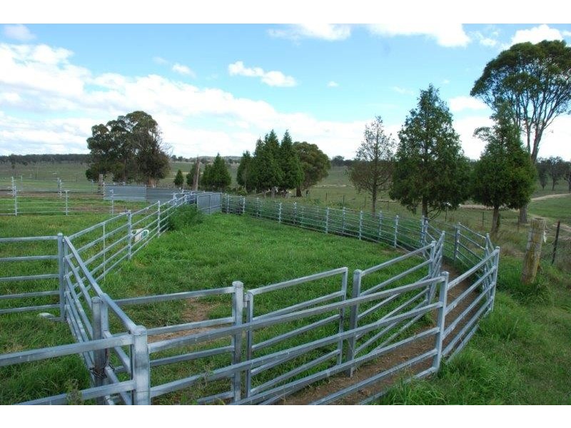536 Blue Mountain Road, Walcha NSW 2354