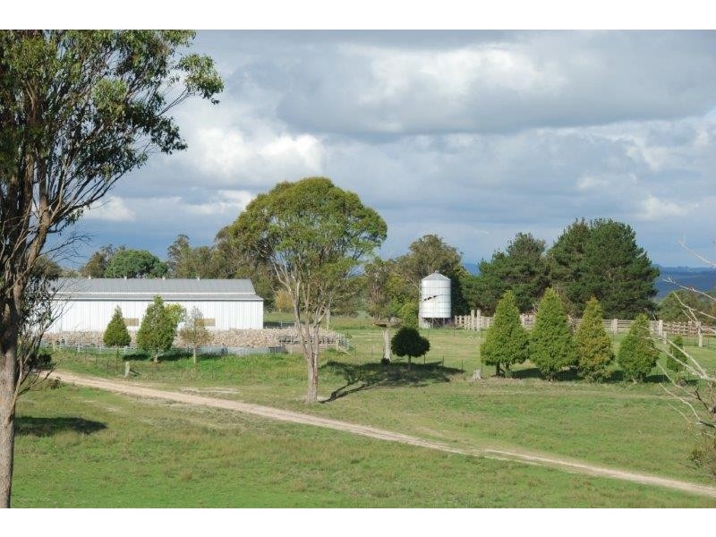536 Blue Mountain Road, Walcha NSW 2354