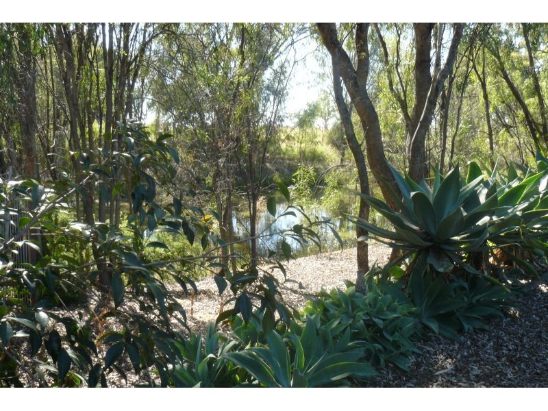 Goondiwindi QLD 4390