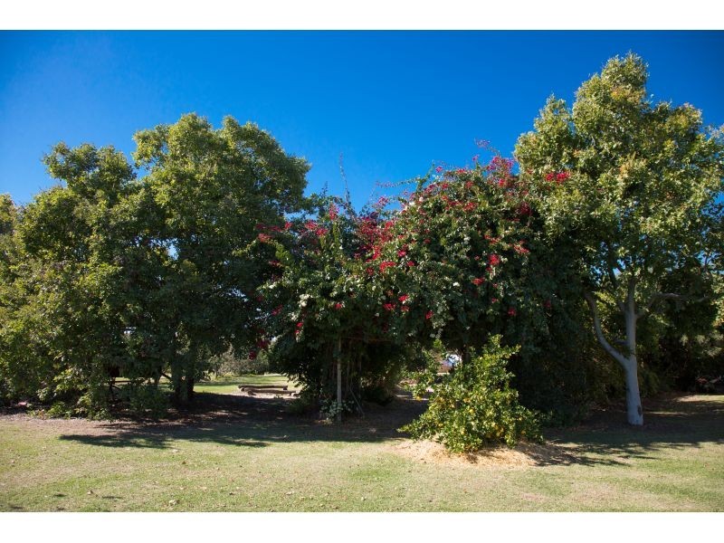 Goondiwindi QLD 4390