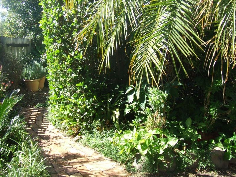 Goondiwindi QLD 4390