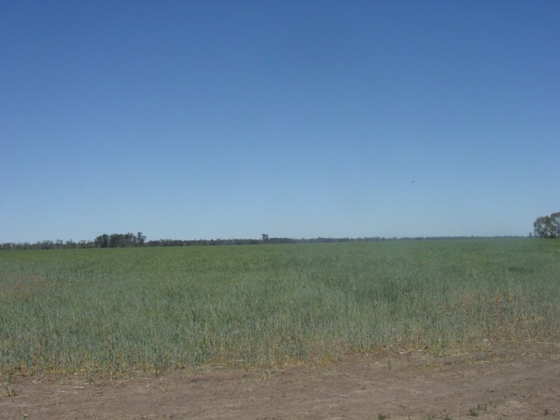 Goondiwindi QLD 4390