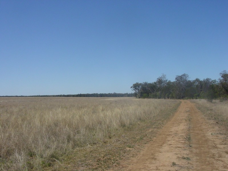 Goondiwindi QLD 4390