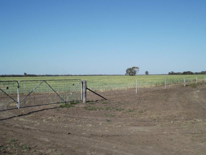 Goondiwindi QLD 4390