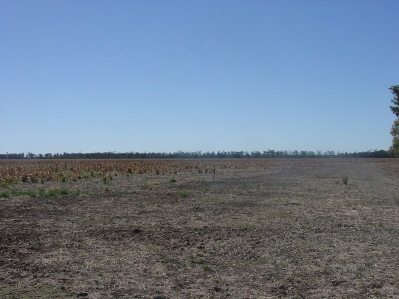 Goondiwindi QLD 4390