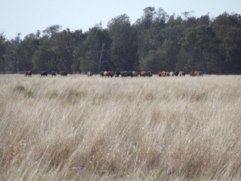 Goondiwindi QLD 4390