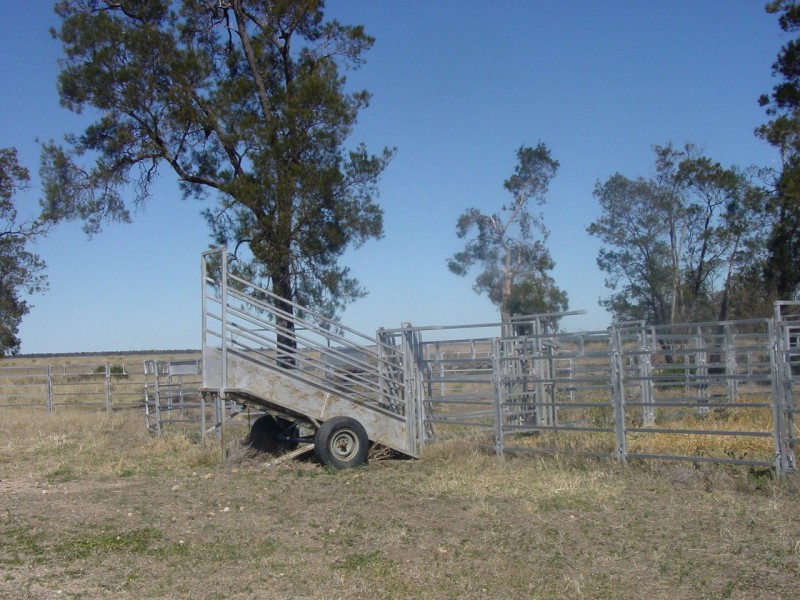 Goondiwindi QLD 4390