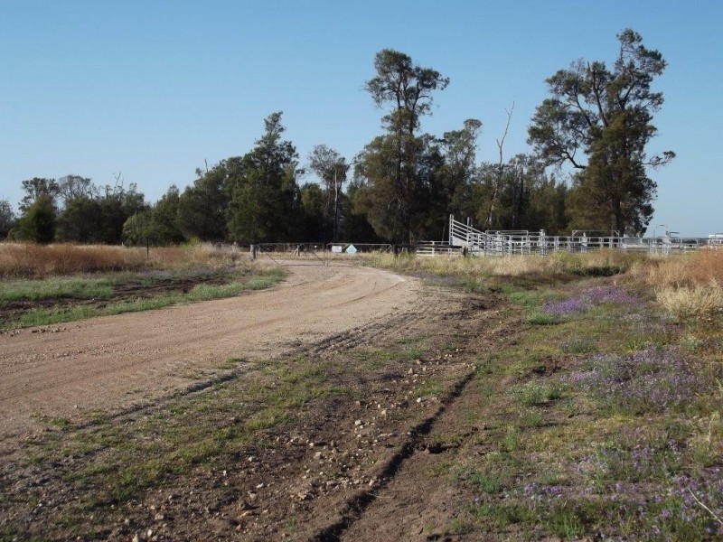 Goondiwindi QLD 4390