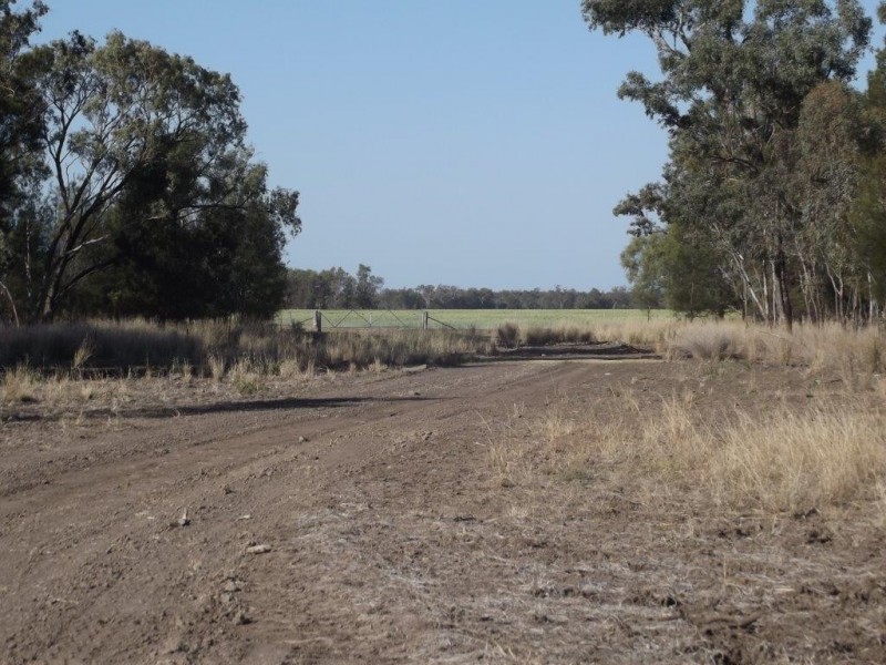 Goondiwindi QLD 4390