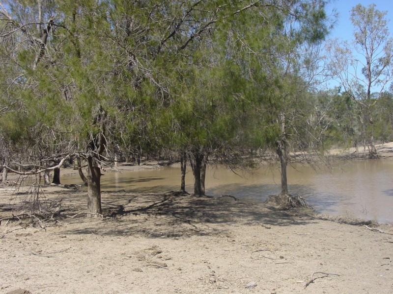 Goondiwindi QLD 4390