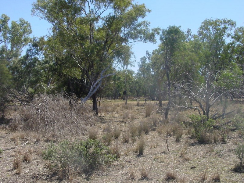 Goondiwindi QLD 4390